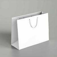 PAPER HAND BAGS
