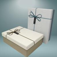 GIFT BOXES